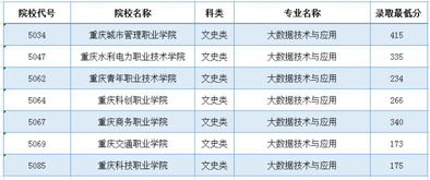 电子商务专业分为几大类
